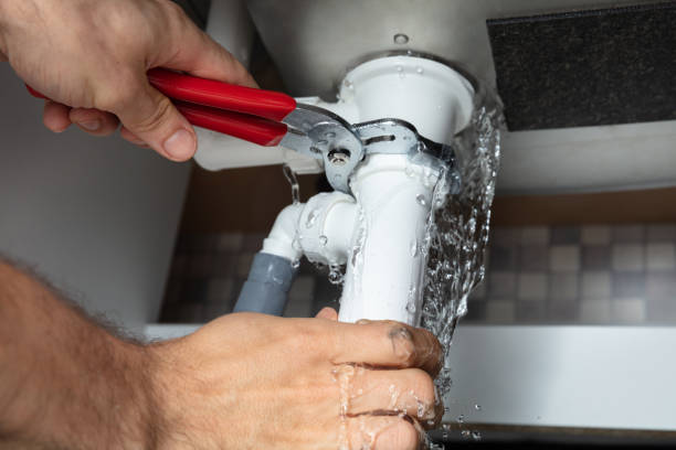 Best Water damage cleanup near me  in Paulding, OH