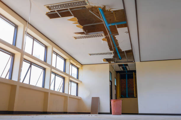 Best Carpet water damage restoration  in Paulding, OH