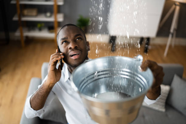 Best Water damage restoration near me  in Paulding, OH
