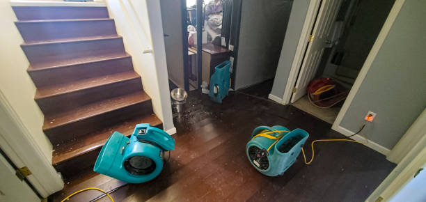 Best Water damage restoration near me  in Paulding, OH