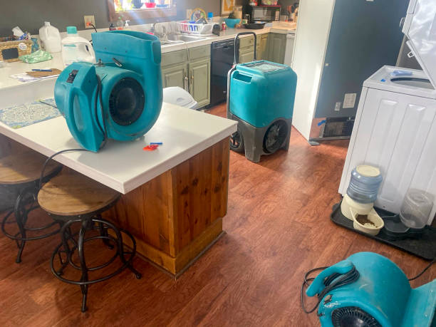 Best Local water damage restoration  in Paulding, OH