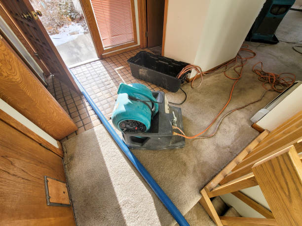 Best Fire Damage Restoration  in Paulding, OH