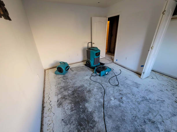 Best Commercial water damage restoration  in Paulding, OH