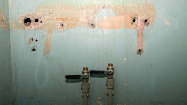 Best Water damage restoration insurance claims  in Paulding, OH