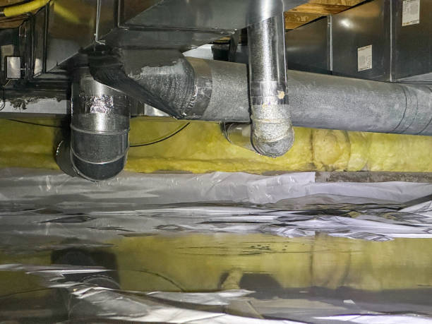 Best Water damage restoration near me  in Paulding, OH