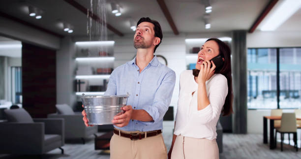 Best Water damage restoration near me  in Paulding, OH