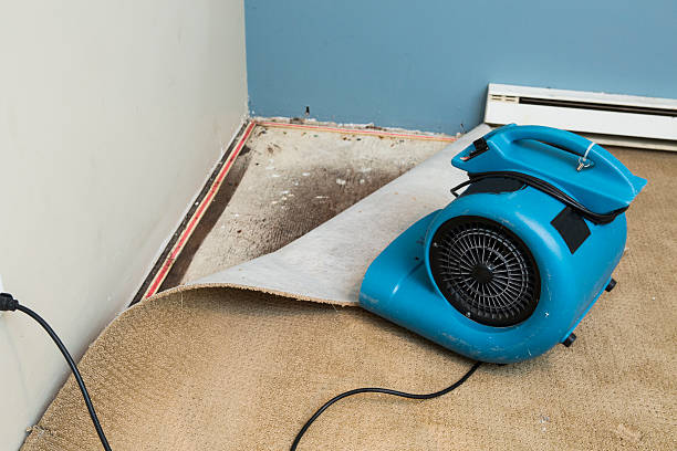  Paulding, OH Water damage restoration Pros